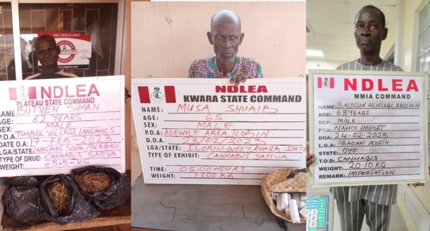 NDLEA operatives Nab Three Grandfathers, Nigerien Citizen, Others In Over 52kgs Of Illicit Drugs