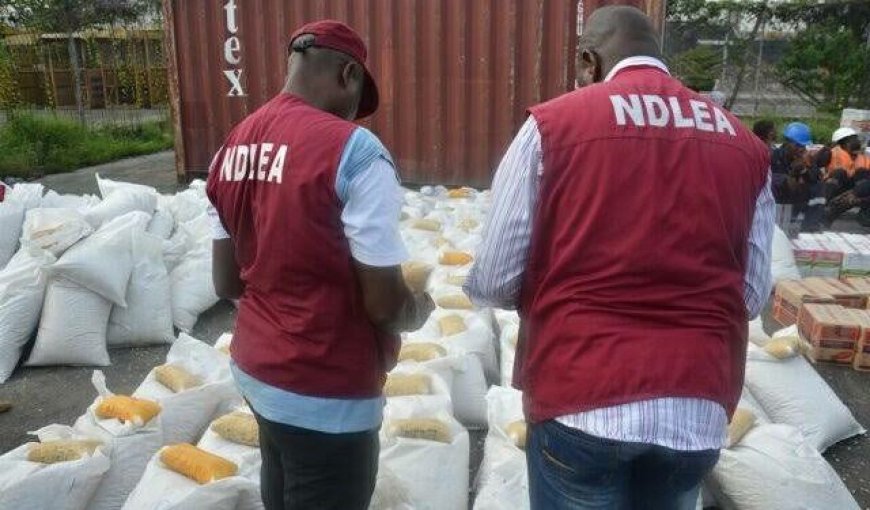 NDLEA Raids Hotel, Seize Drugs, Arrest Suspects In Lagos