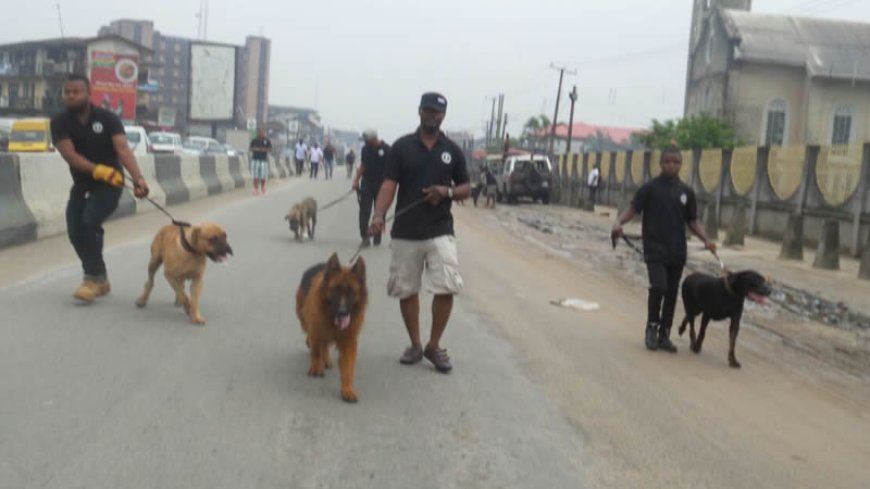2023 Governorship Elections: Police Bans Use Of Dogs At Polling Units