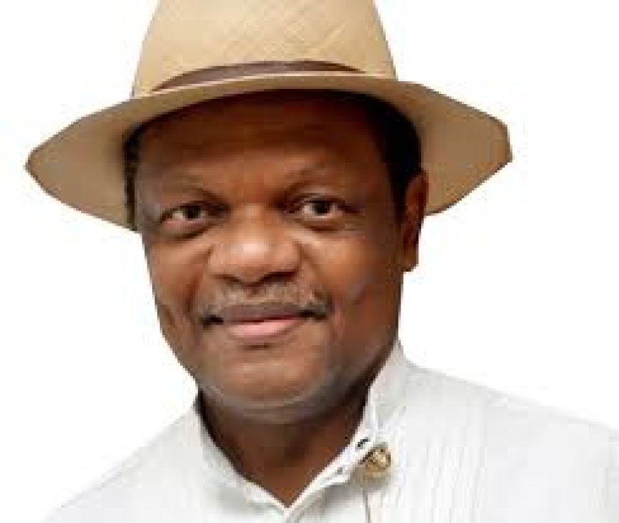 Poll: I’m disappointed with INEC’s performance – Atedo Peterside