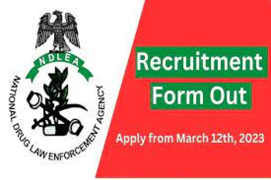 NDLEA Recruitment:  Agency Apologies For Poor Online Application Process