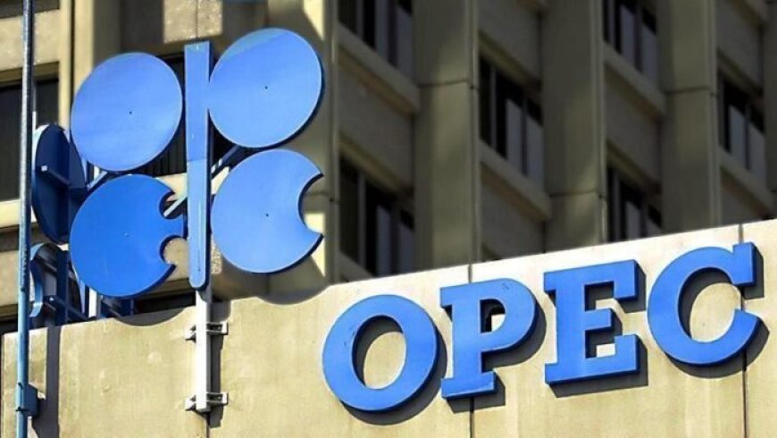 Crude Oil Price Surges Barely 24 Hours After Production Cut