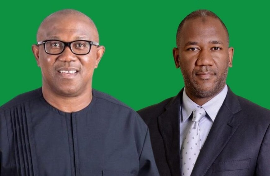60 Days In Power: Obi-Datti Organisation Hits APC Government, Says Its Government Of Darkness