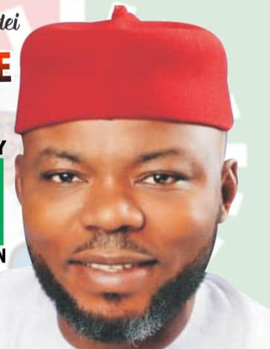 Why Imo Police Command Arrests Labour Party State Assembly Candidate