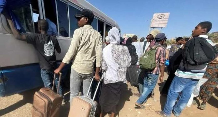 Sudan: FG Warns Stranded Nigeria Students, Others Not To Take To Egypt, Eretria, Ethiopia, Chad By Road On Their Own
