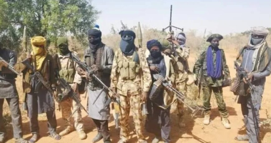Terrorists Abduct 50 Persons In Niger State Community