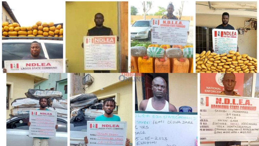 NDLEA Dislodges Drug Goons In A Gun Duel Over 8.8 Tons Of Illicit Drugs In Lagos