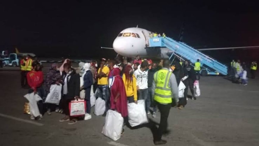 Kano NEMA Territorial Office Receives Another Batch Of 147 Stranded Nigerians From Niger Republic
