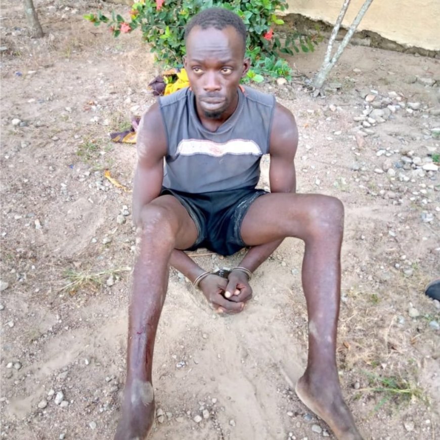 Osun Police Nabs Man For Allegedly Killing 20