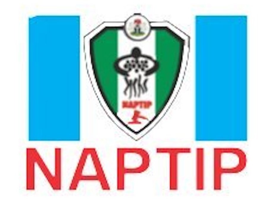 NAPTIP Axes Dep Director, Four Others Over Corruption, Other Offences
