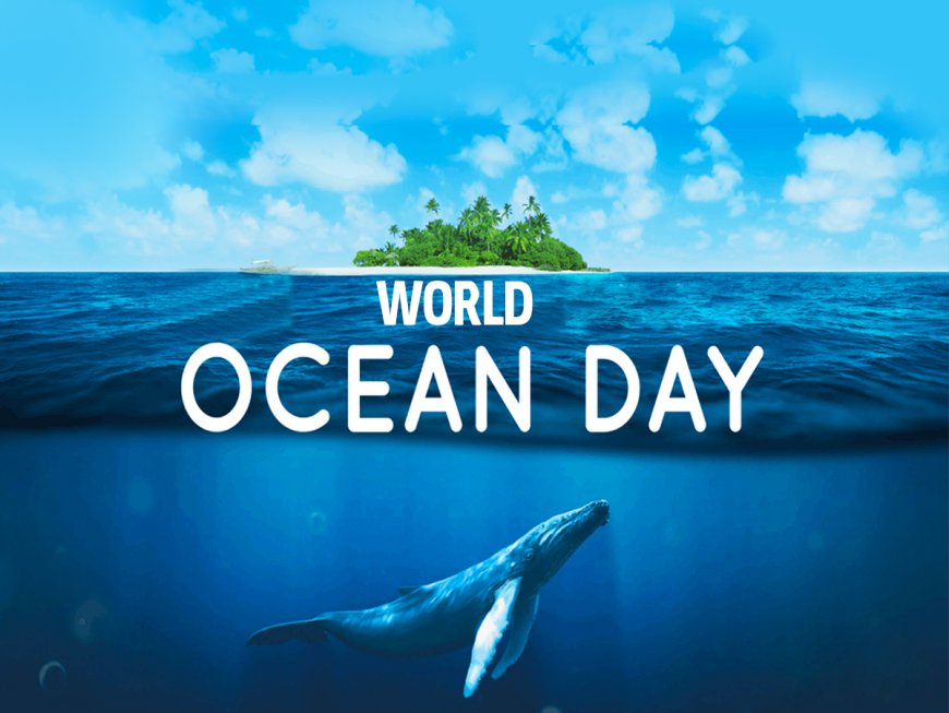 World Ocean Day: HEDA Advocates For Gender Equality In Ocean Conservation, Sustainable Development