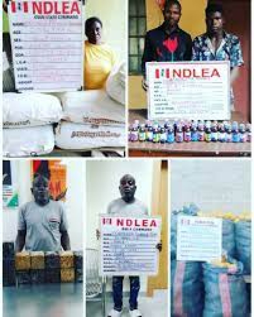 NDLEA Discovers Illegal Methamphetamine Laboratory In Lagos
