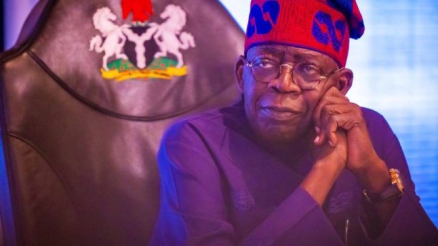 2023: You Are Bias In Your Conclusion On Our General Election--Tinubu Tells  European Union