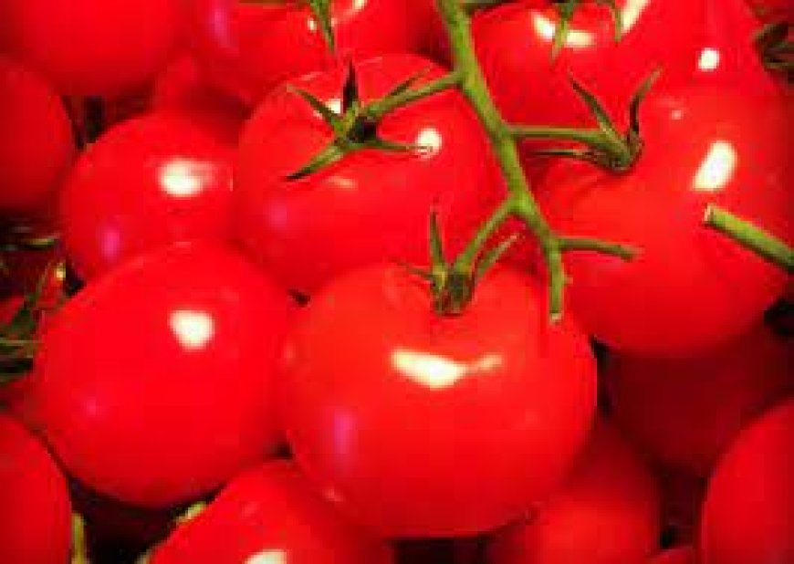 Housewives lament as tomato prices soar