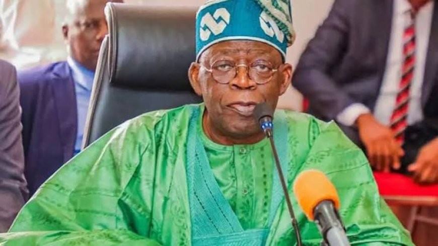 Tinubu Appoints 19 Personal Aides