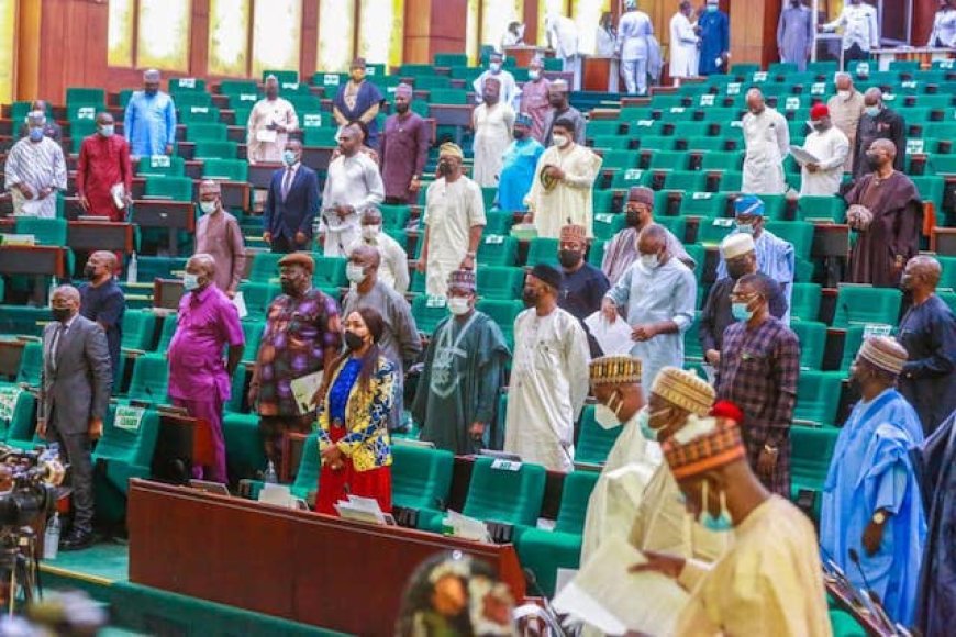 Angry Reps Summon NAPTIP DG Over Unlawful Detention Of Alliance Hospital CEO