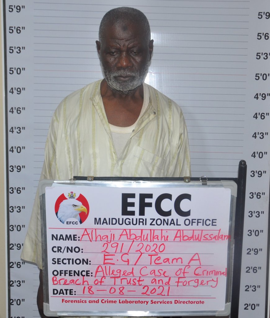 Fake UN Supply Deal Lands Man In Jail In Maduguri … Another Docked for N62m Fraud