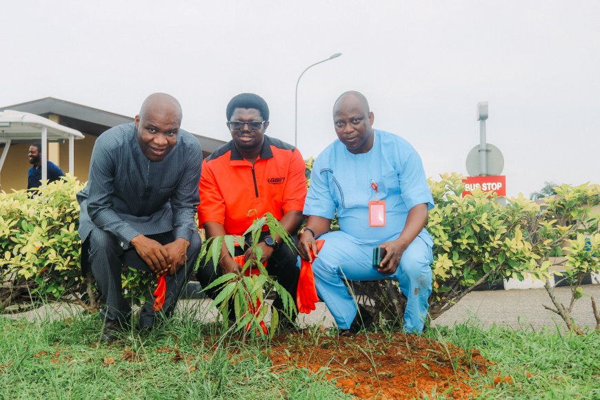 Egbin Power commemorates Tree Planting Day To Deepen Environmental Sustainability