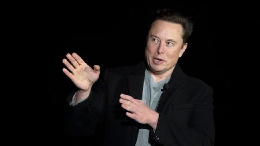 Twitter Has Lost Half Its Advert Revenue-Elon Musk