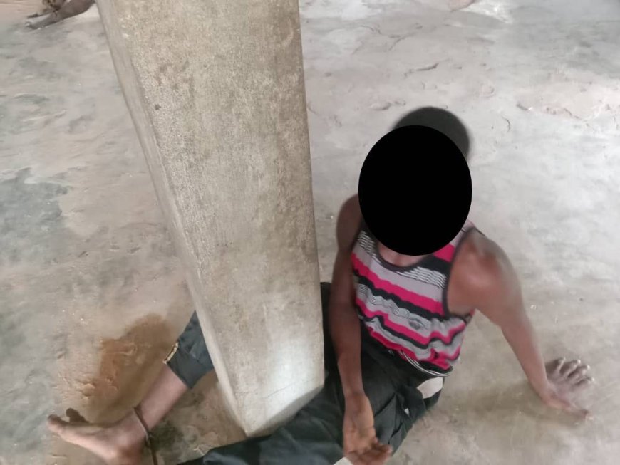 Anambra Police Rescue Three Pillar-Bound Abducted Victims