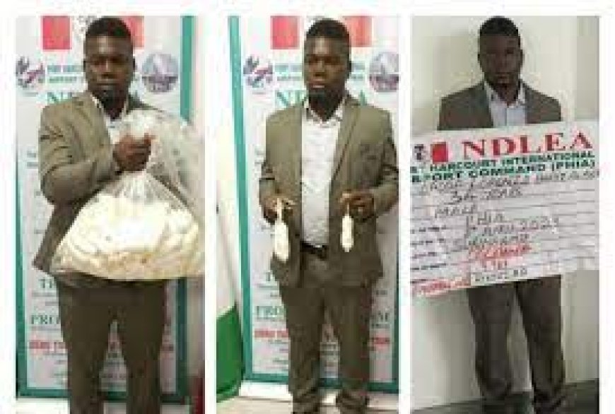 Nigeria Court Jailed South American Man Caught With Cocaine 13 Years