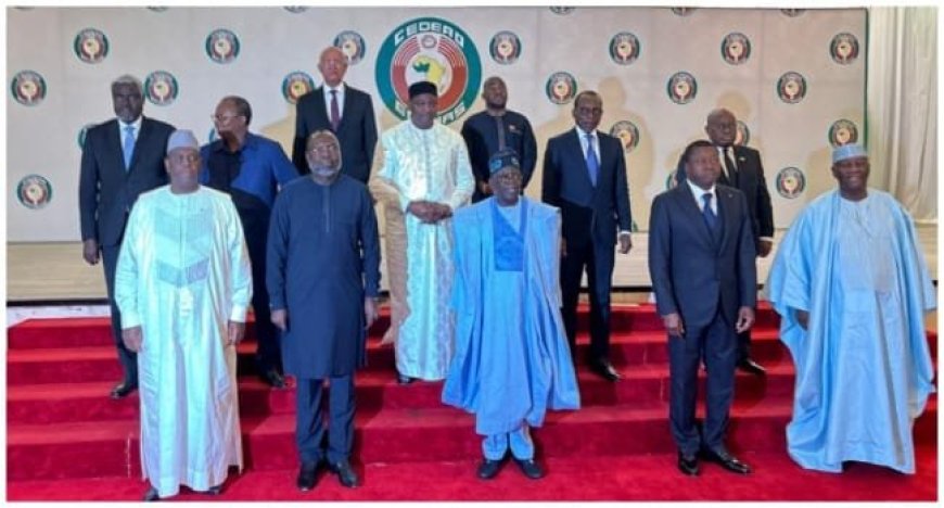 Niger Coup: ECOWAS Okays Use Of Force