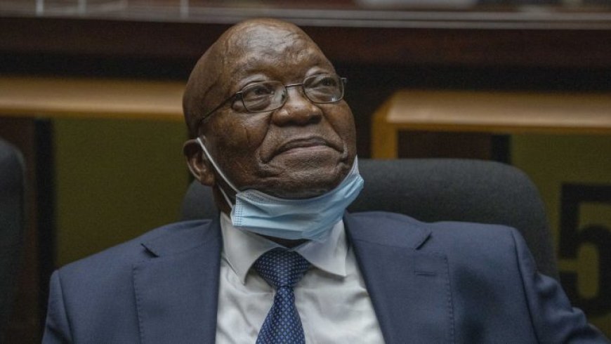 Zuma Returns To Prison, Released An Hour Later