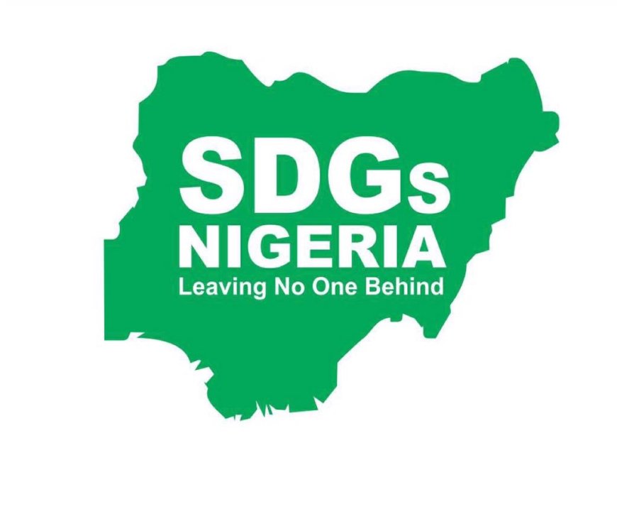 Group Highlights OSSAP-SDGs' Multifaceted, Laudable Milestones