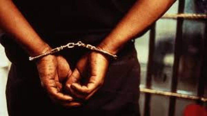 Police Arrests FUNAAB Student For Alleged Poisoning Of Girlfriend In Ogun
