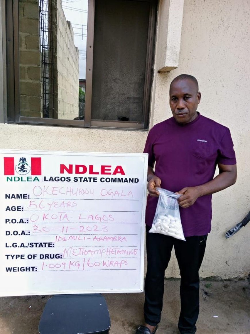 NDLEA  Nabs Drug Kingpin In Lagos Hotel; Recovers Tons Of cannabis, 8,000 Bottles Of  Codeine In Edo, Delta, Bauchi, FCT, Kaduna, Gombe, Kogi Raids