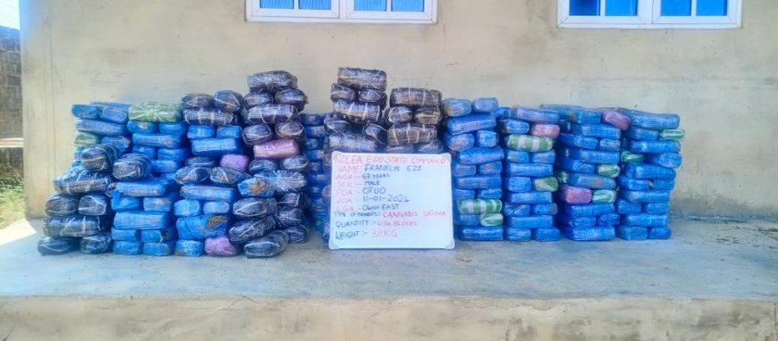 NDLEA Raids Illegal Drug Manufacturing Factory In Ibadan...Seizes 300,000 Tramadol Pills From Pakistan