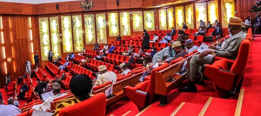 Senate to investigate cement coys on hike in price