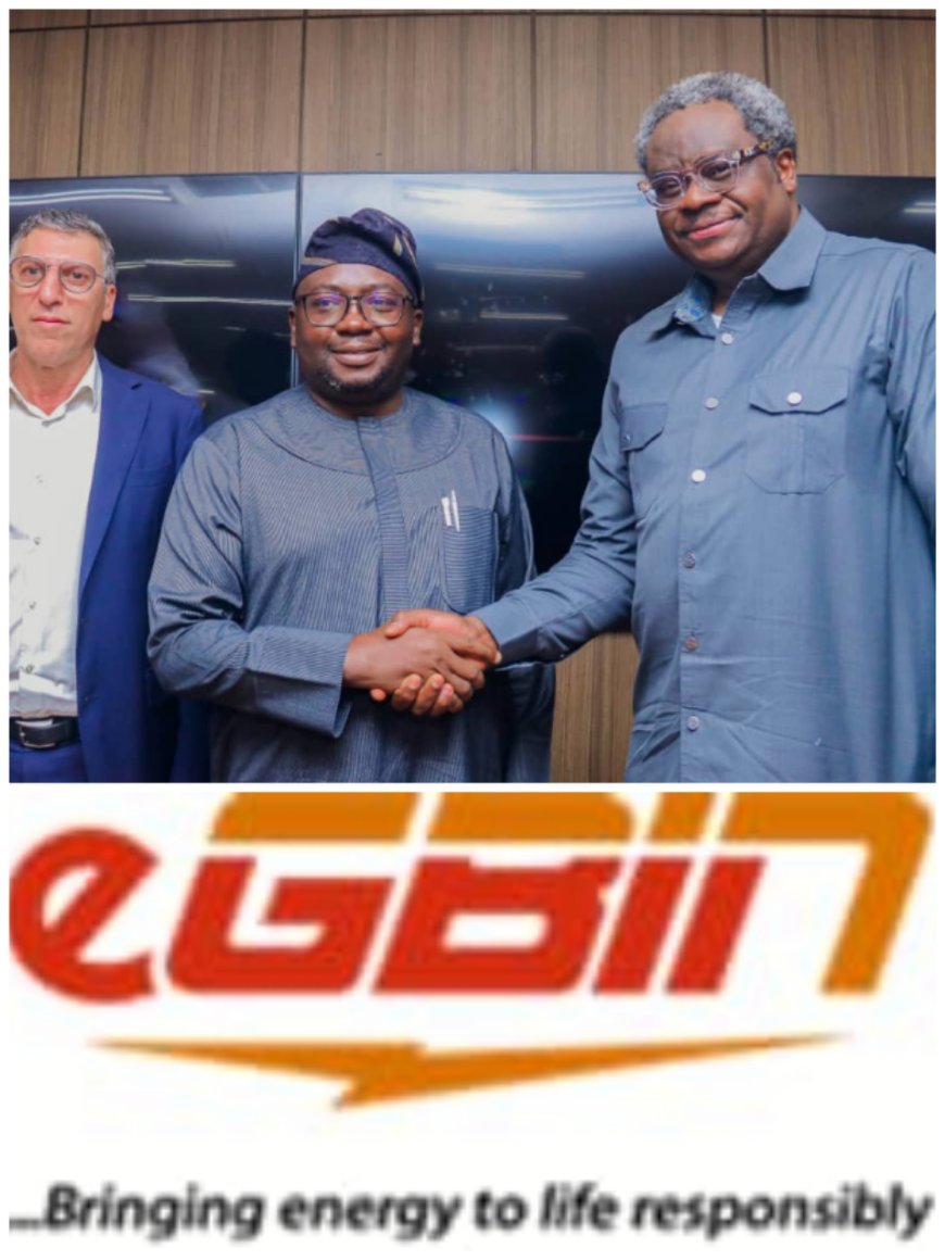 Egbin Power Receives FG’s Assurance on Debt Settlement, Improved Gas Supply