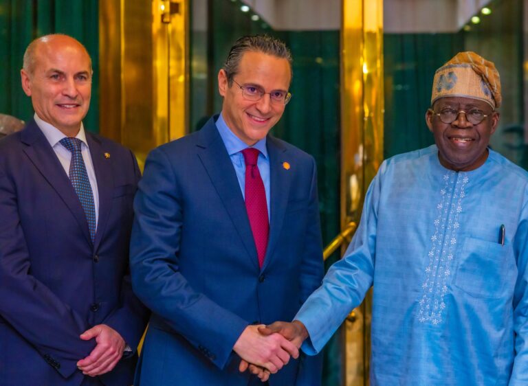 Tinubu's Vision, Leadership Reason We're Investing $20bn In Nigeria - Shell Global CEO